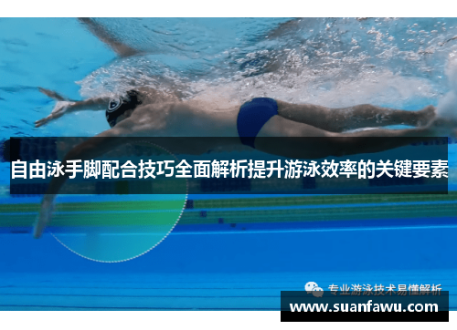 自由泳手脚配合技巧全面解析提升游泳效率的关键要素