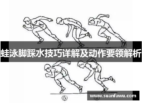 蛙泳脚踩水技巧详解及动作要领解析